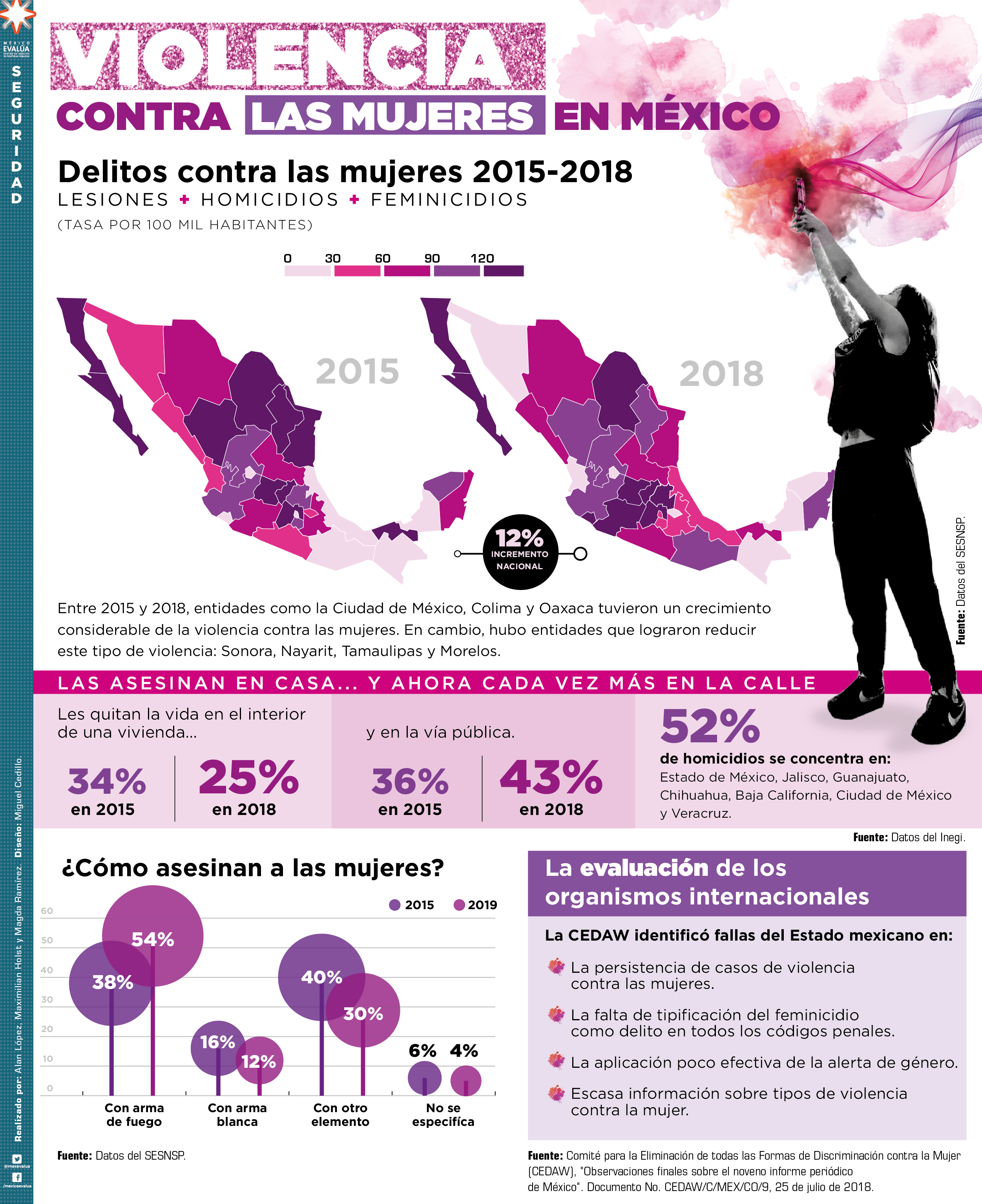 Violencia contra las mujeres México Evalúa